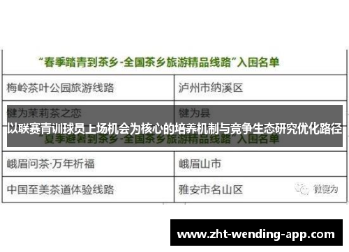 以联赛青训球员上场机会为核心的培养机制与竞争生态研究优化路径