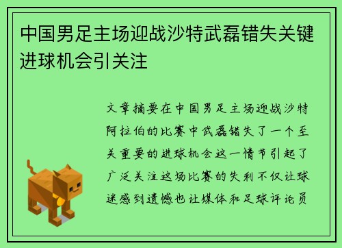 中国男足主场迎战沙特武磊错失关键进球机会引关注 中国男足主场迎战沙特武磊错失关键进球机会引关注